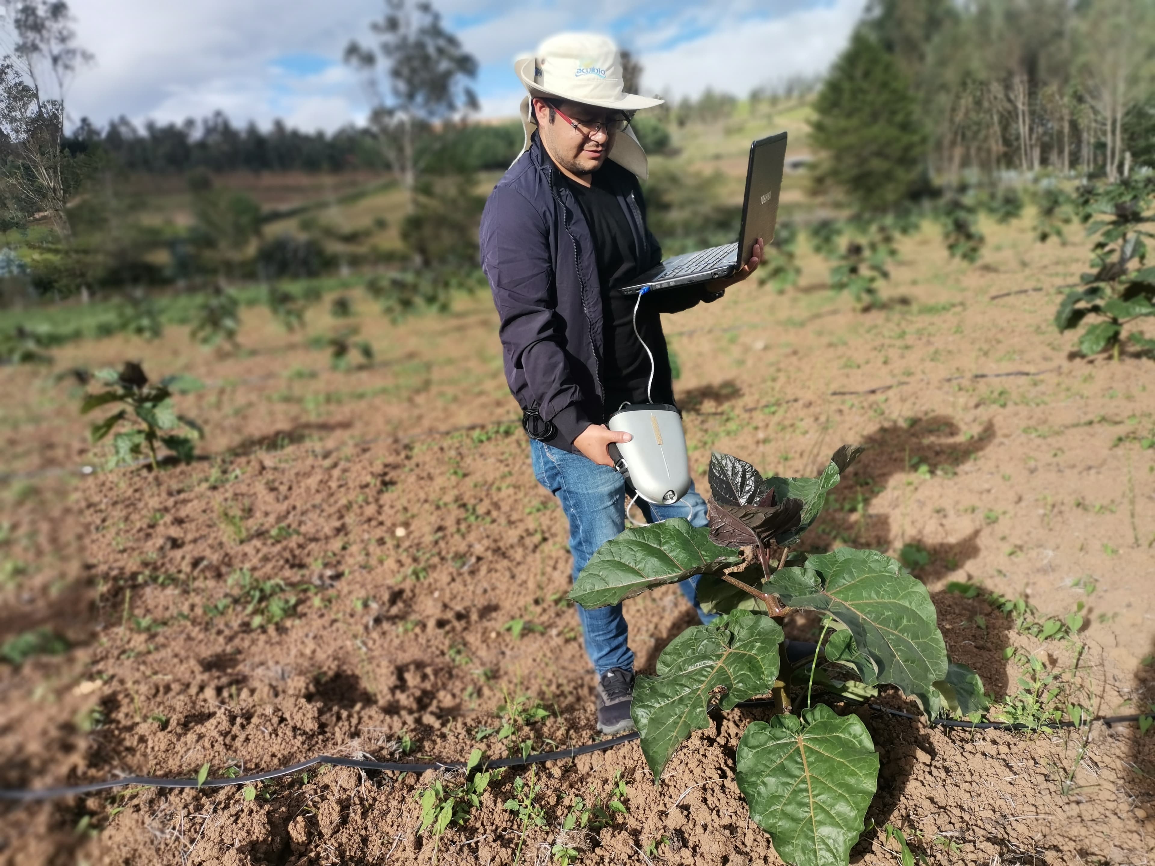 Sistemas de Información Geográfica